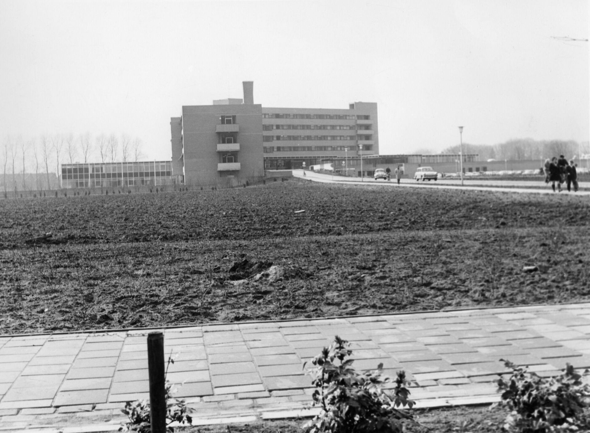 Aanheling gevel Liduina